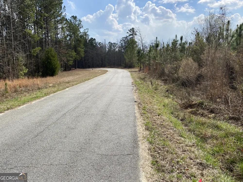 0 PARCEL 3 Baker RD Waverly Hall, GA 31831