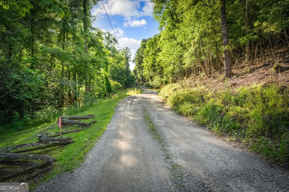 2.48 ACR Valley LN Mineral Bluff, GA 30559