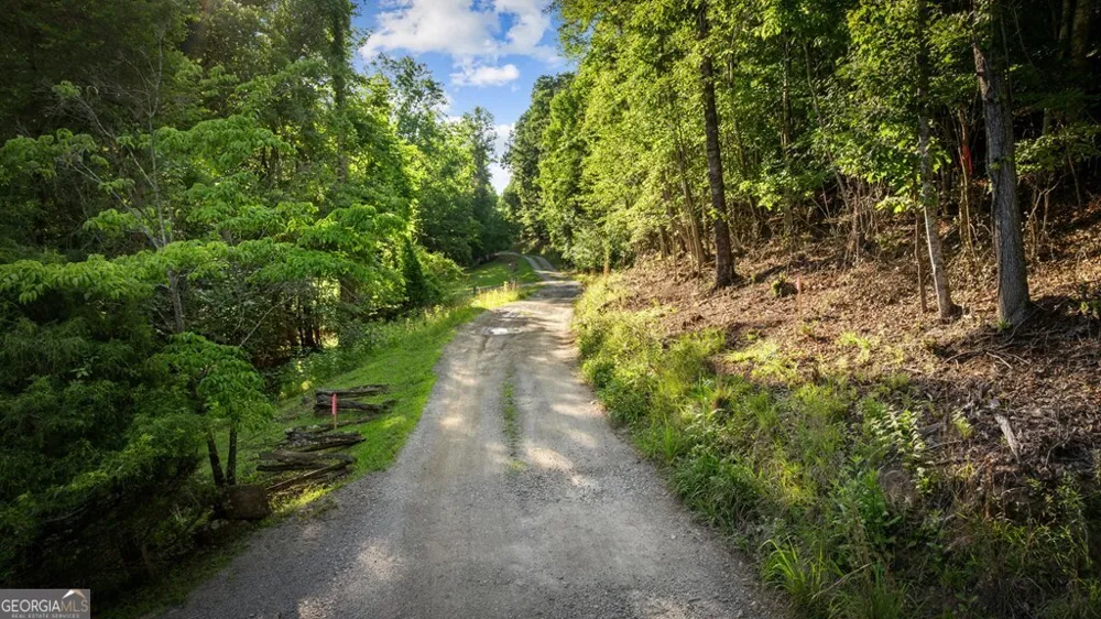 2.48 ACR Valley LN Mineral Bluff, GA 30559