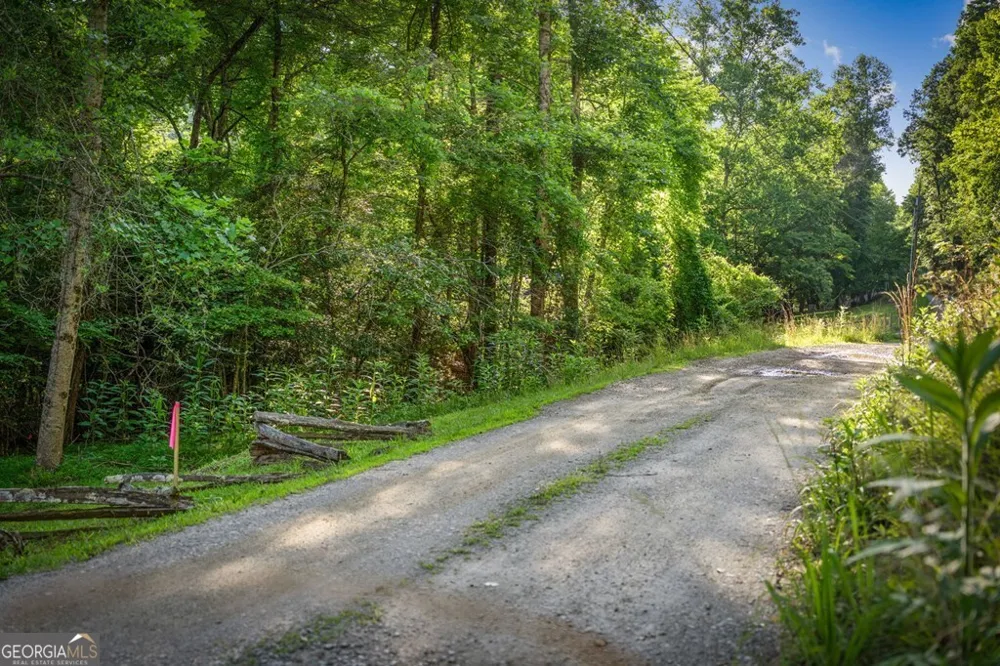 2.48 ACR Valley LN Mineral Bluff, GA 30559