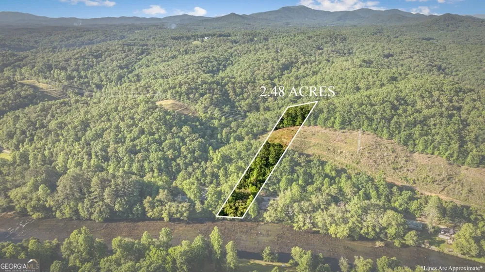 2.48 ACR Valley LN Mineral Bluff, GA 30559