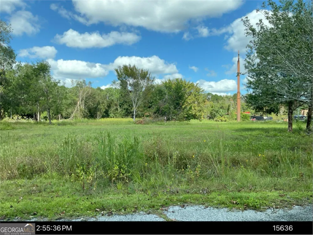 1890 Harrietts Bluff RD Woodbine, GA 31569