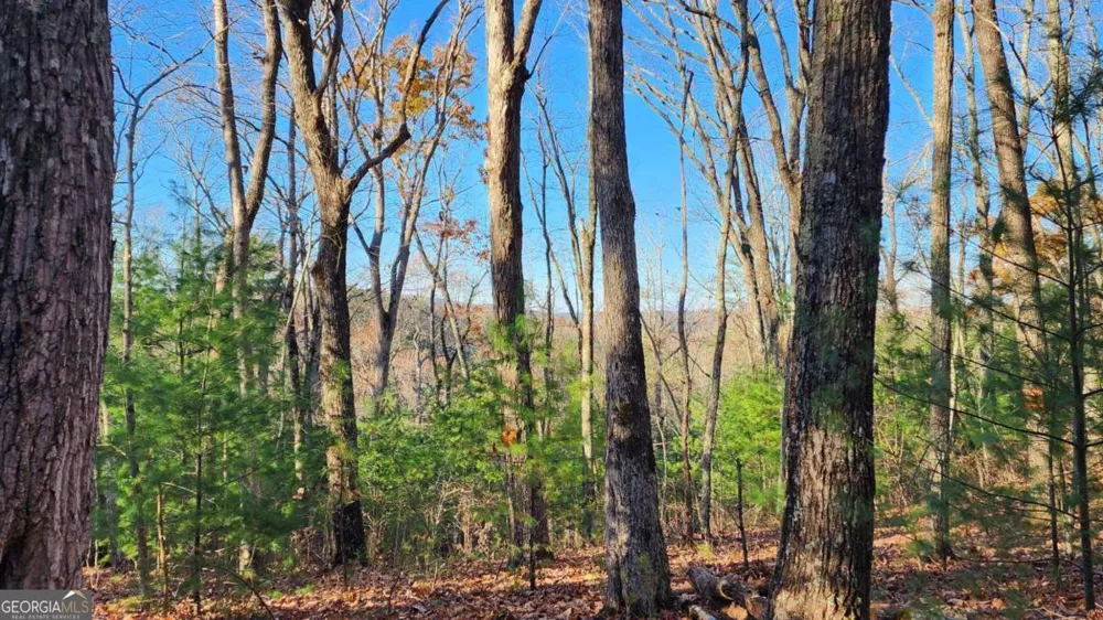 0 LOT 18 Meadowlands DR Talking Rock, GA 30175