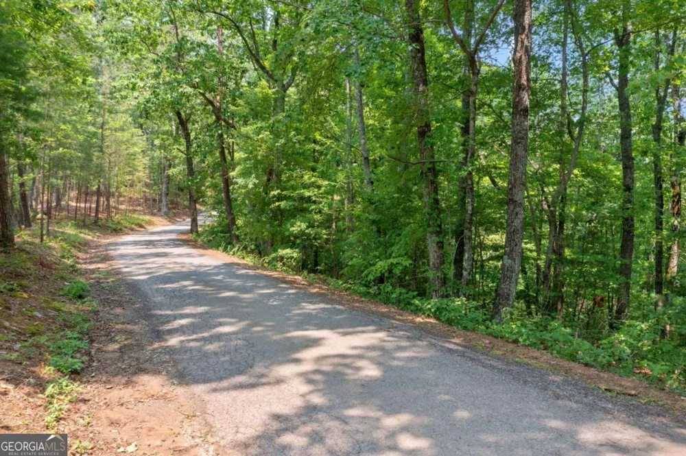 0 LOT 18 Meadowlands DR Talking Rock, GA 30175