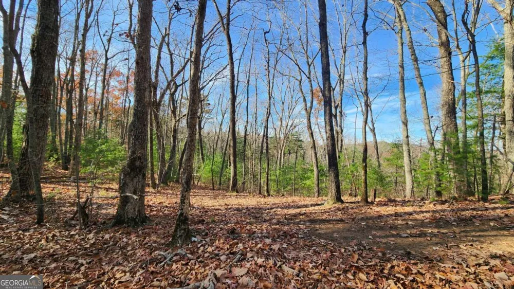 0 LOT 18 Meadowlands DR Talking Rock, GA 30175