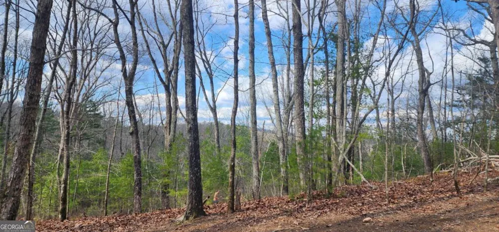 0 LOT 18 Meadowlands DR Talking Rock, GA 30175