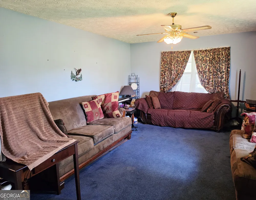 1901 Sawmill RD Ailey, GA 30410
