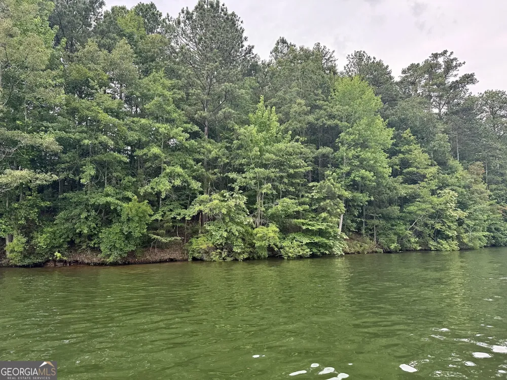 288 Walnut ST Wedowee, AL 36278
