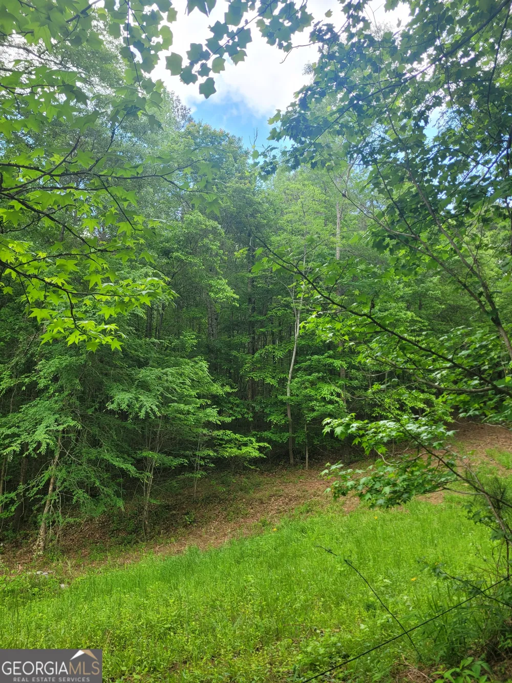 0 Fincherville RD Jackson, GA 30233