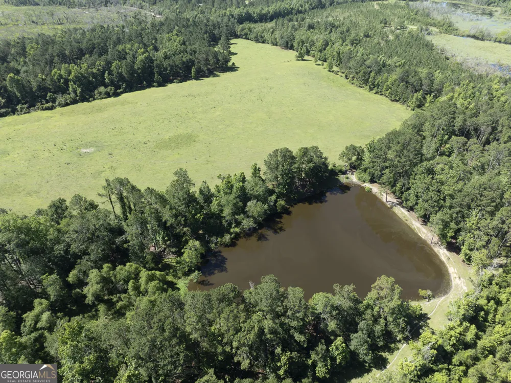 3349 A Scotland RD Alamo, GA 30411