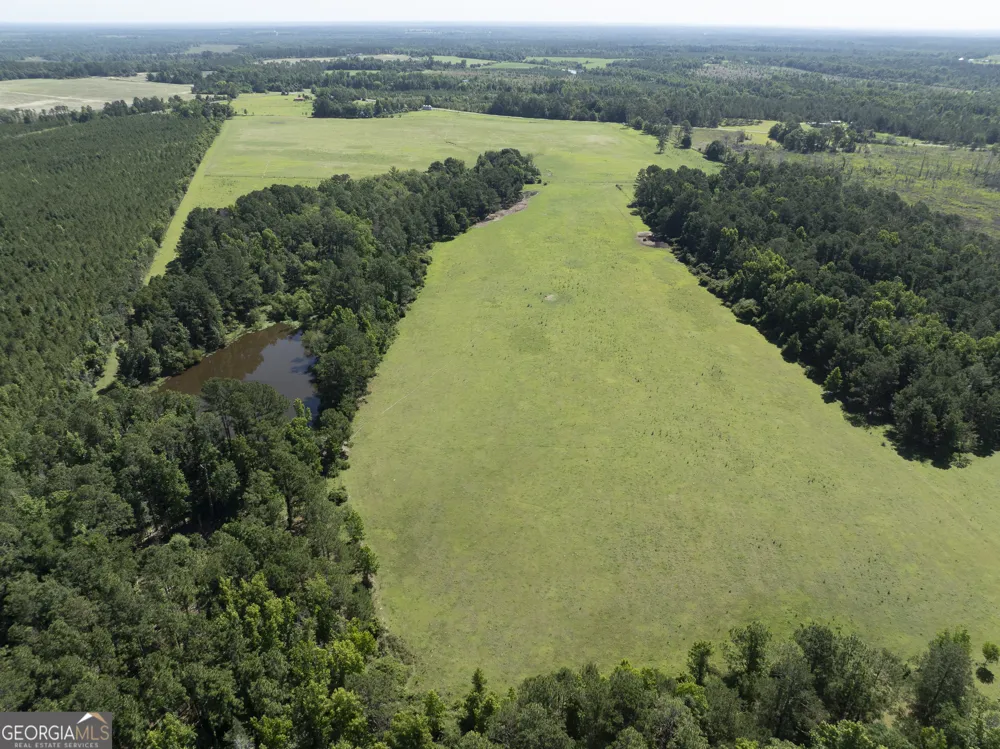 3349 A Scotland RD Alamo, GA 30411