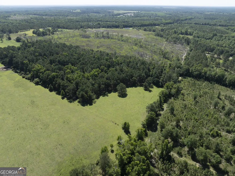 3349 A Scotland RD Alamo, GA 30411