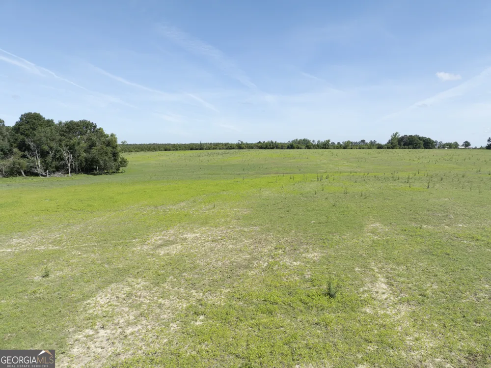 3349 A Scotland RD Alamo, GA 30411