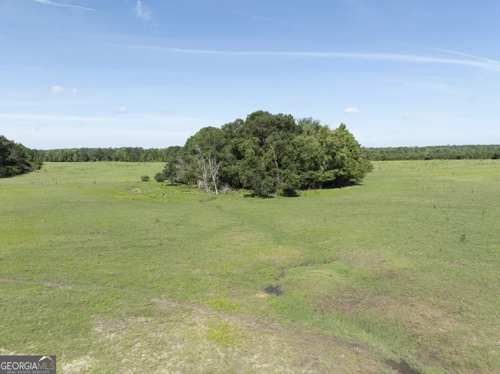 3349 A Scotland RD Alamo, GA 30411