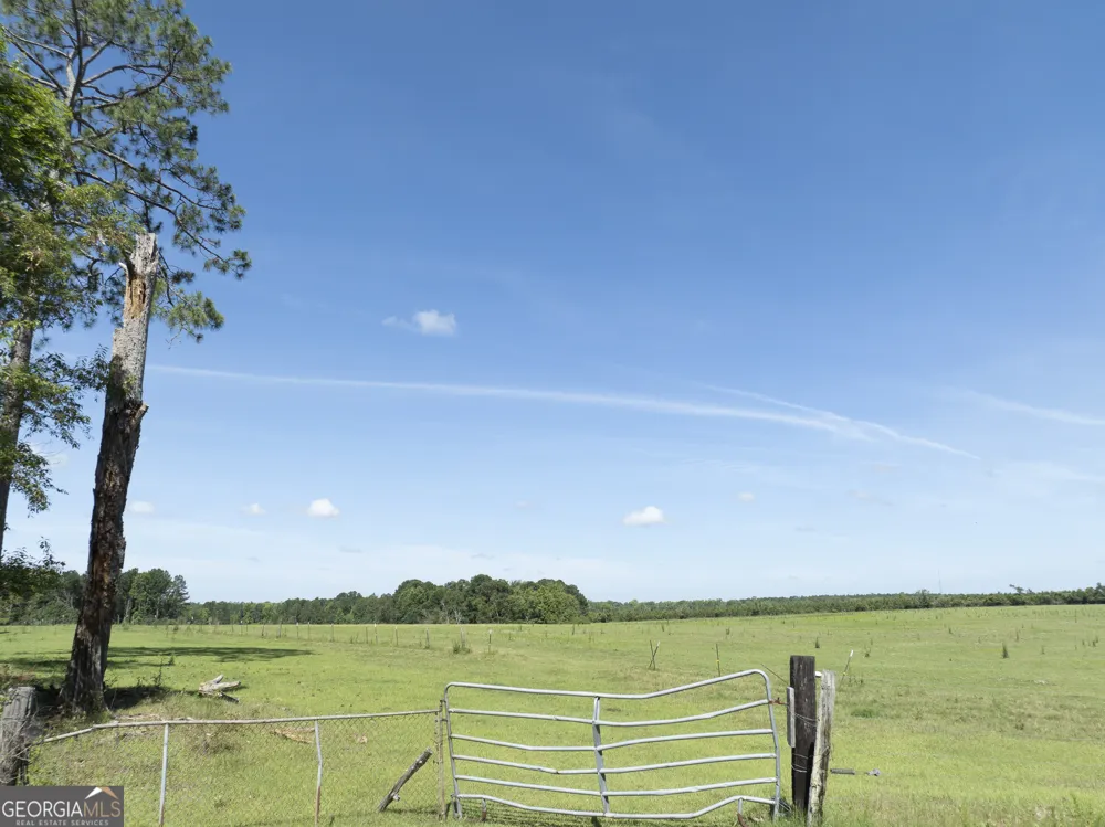 3349 A Scotland RD Alamo, GA 30411