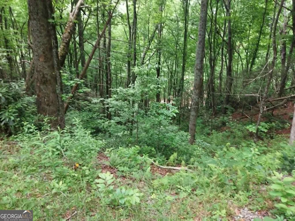 0 LOT 37 Saddleback Circle Sky Valley, GA 30537
