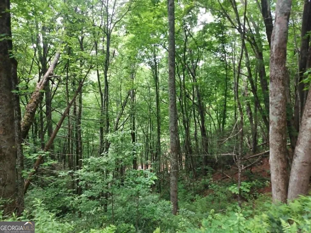 0 LOT 37 Saddleback Circle Sky Valley, GA 30537