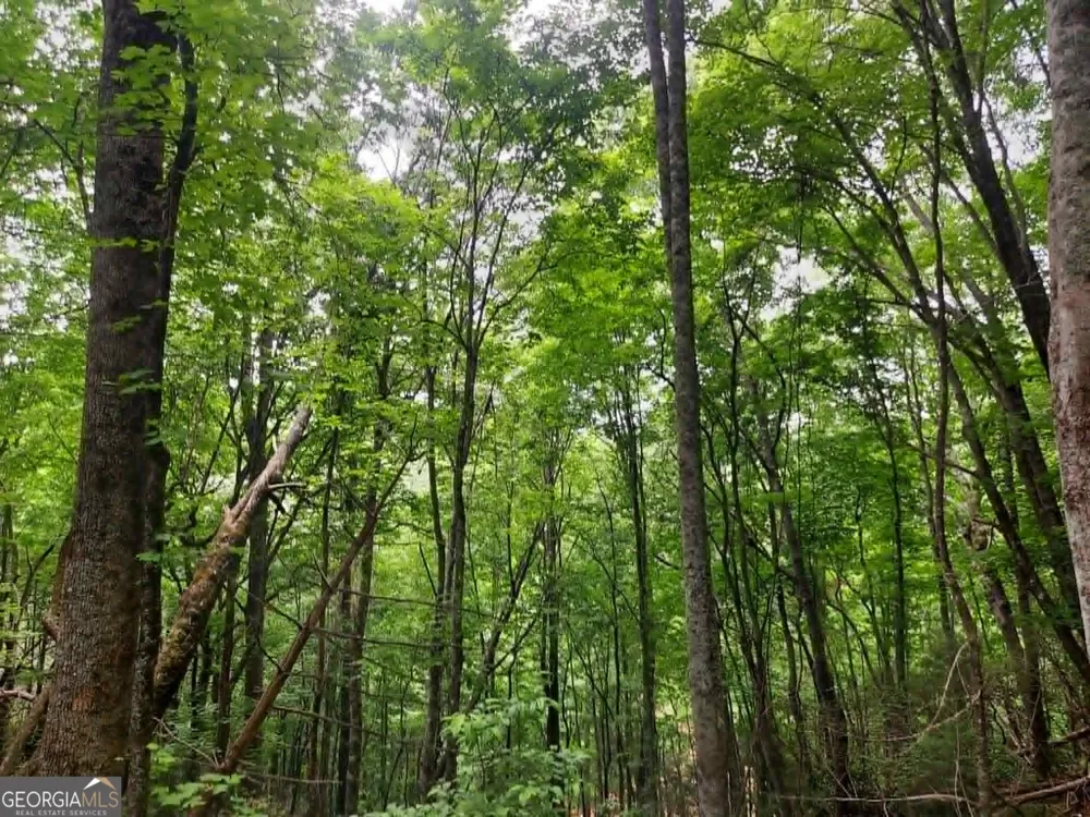 0 LOT 37 Saddleback Circle Sky Valley, GA 30537