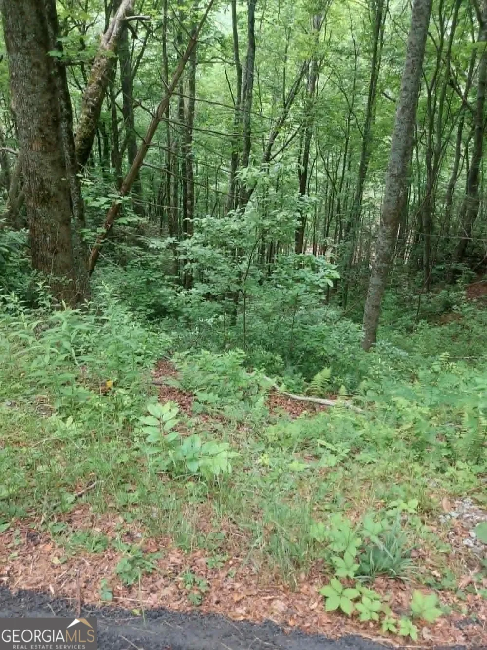 0 LOT 37 Saddleback Circle Sky Valley, GA 30537