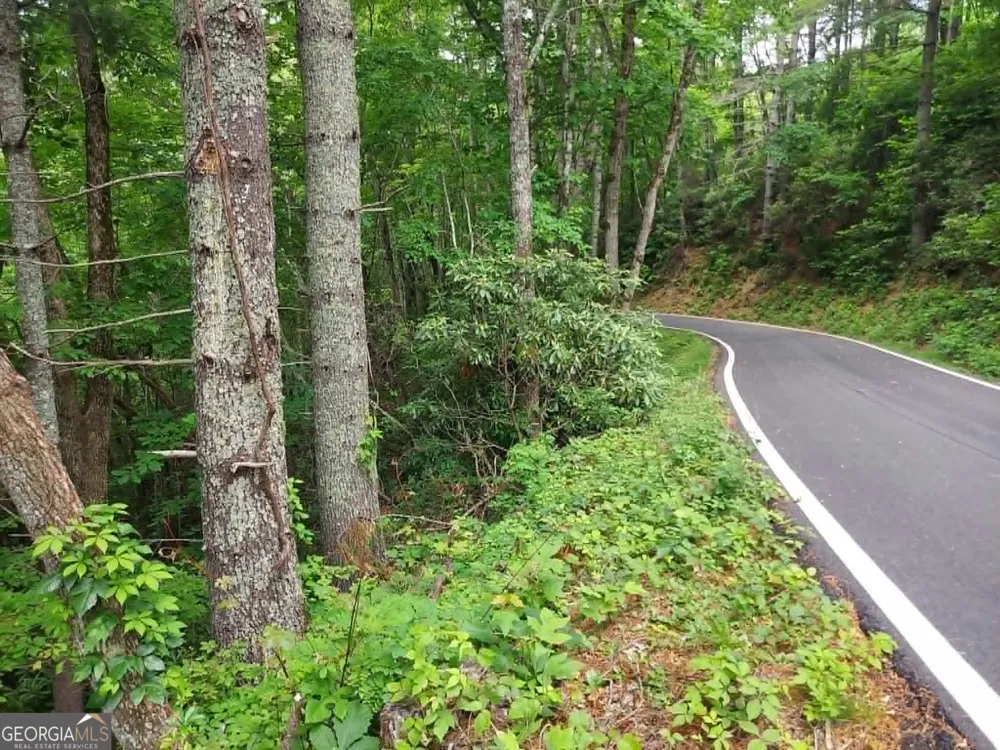 0 LOT 37 Saddleback Circle Sky Valley, GA 30537