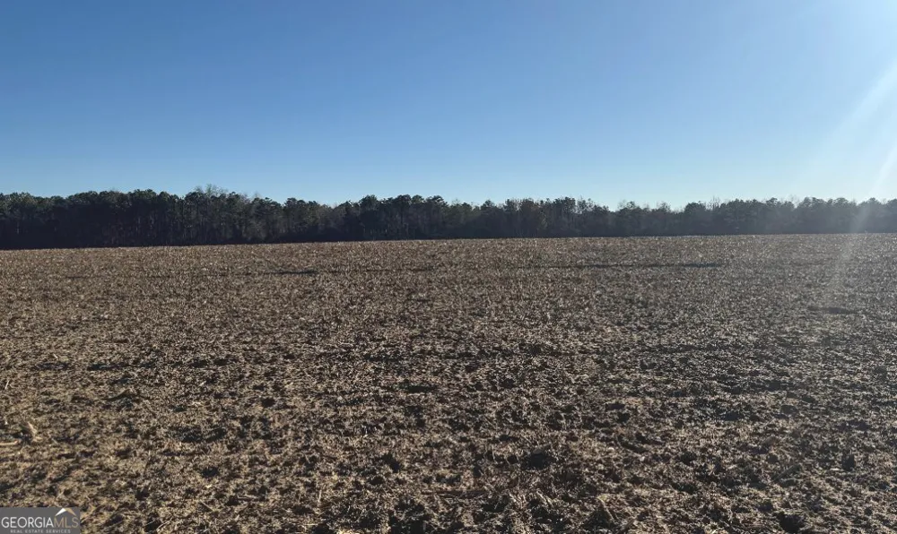 0 Whitfield RD Elko, GA 31025