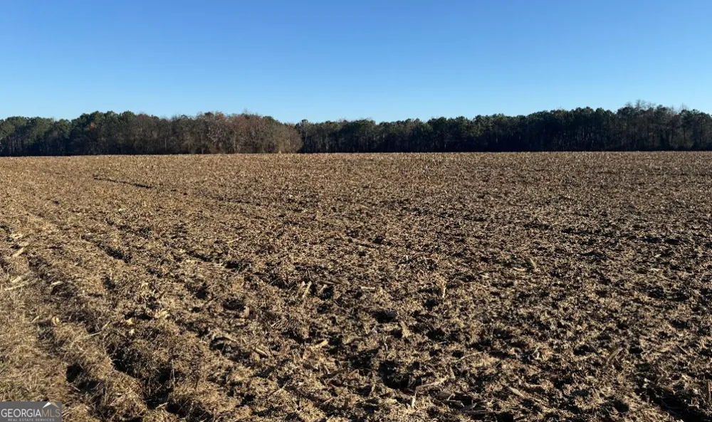 0 Whitfield RD Elko, GA 31025
