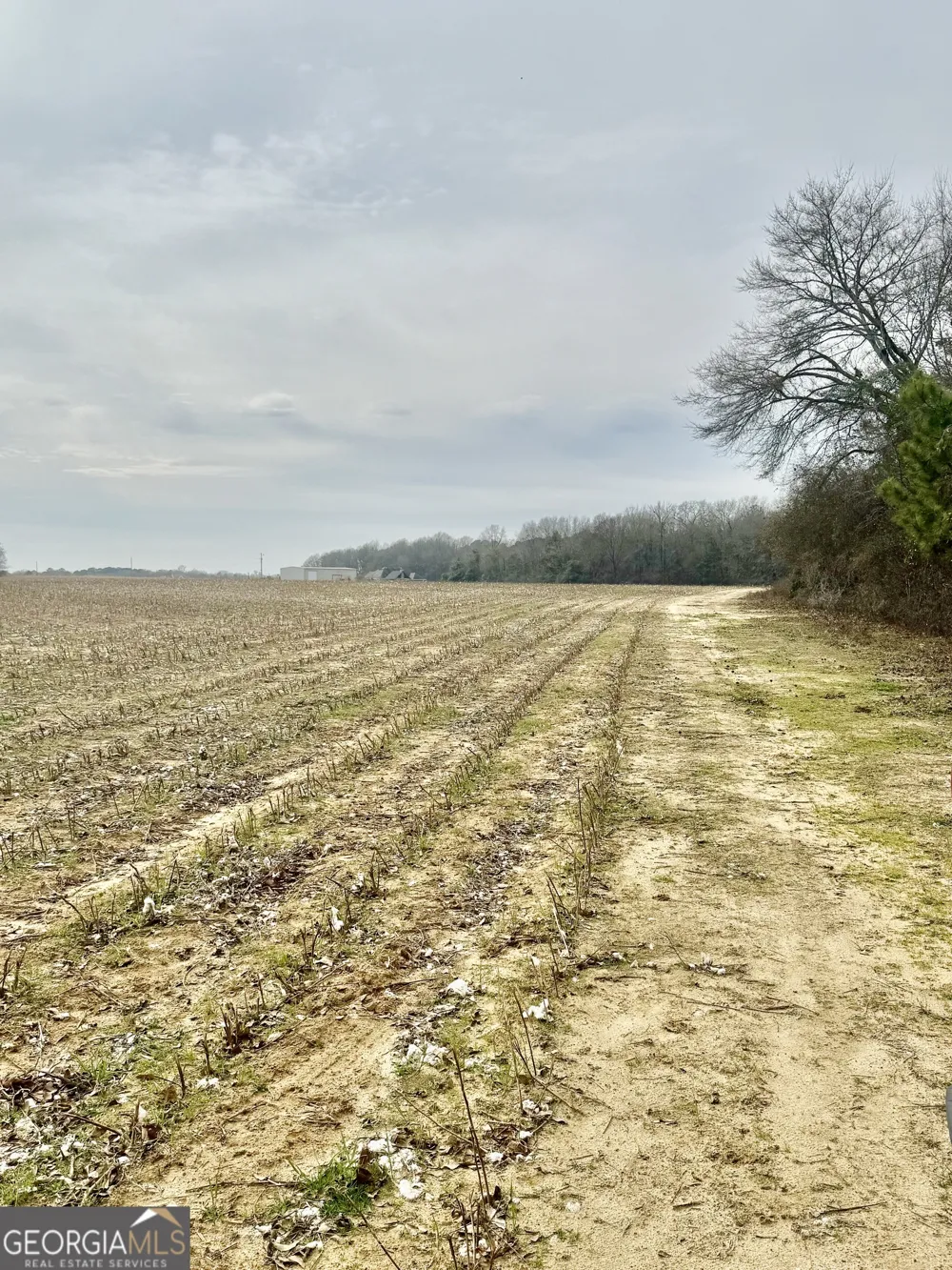 0 Whitfield RD Elko, GA 31025