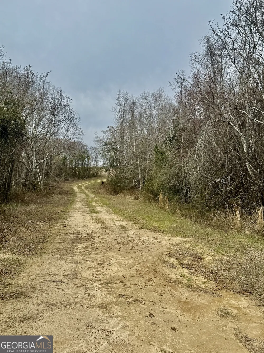 0 Whitfield RD Elko, GA 31025