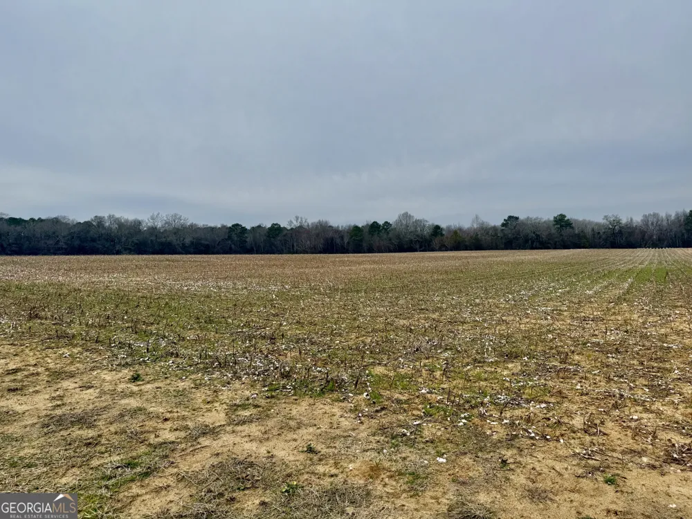 0 Whitfield RD Elko, GA 31025