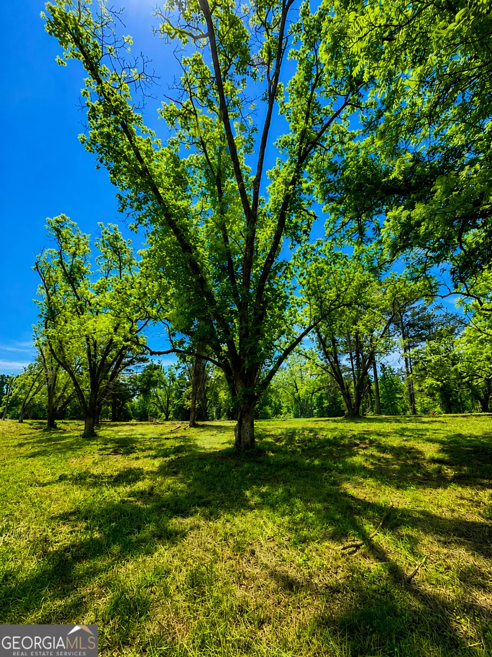 0 Salem RD Pine Mountain, GA 31822