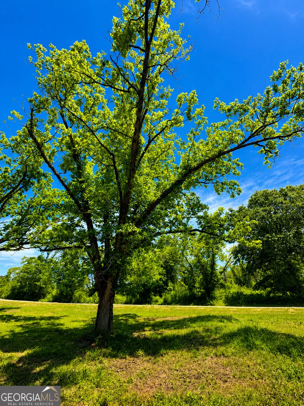0 Salem RD Pine Mountain, GA 31822