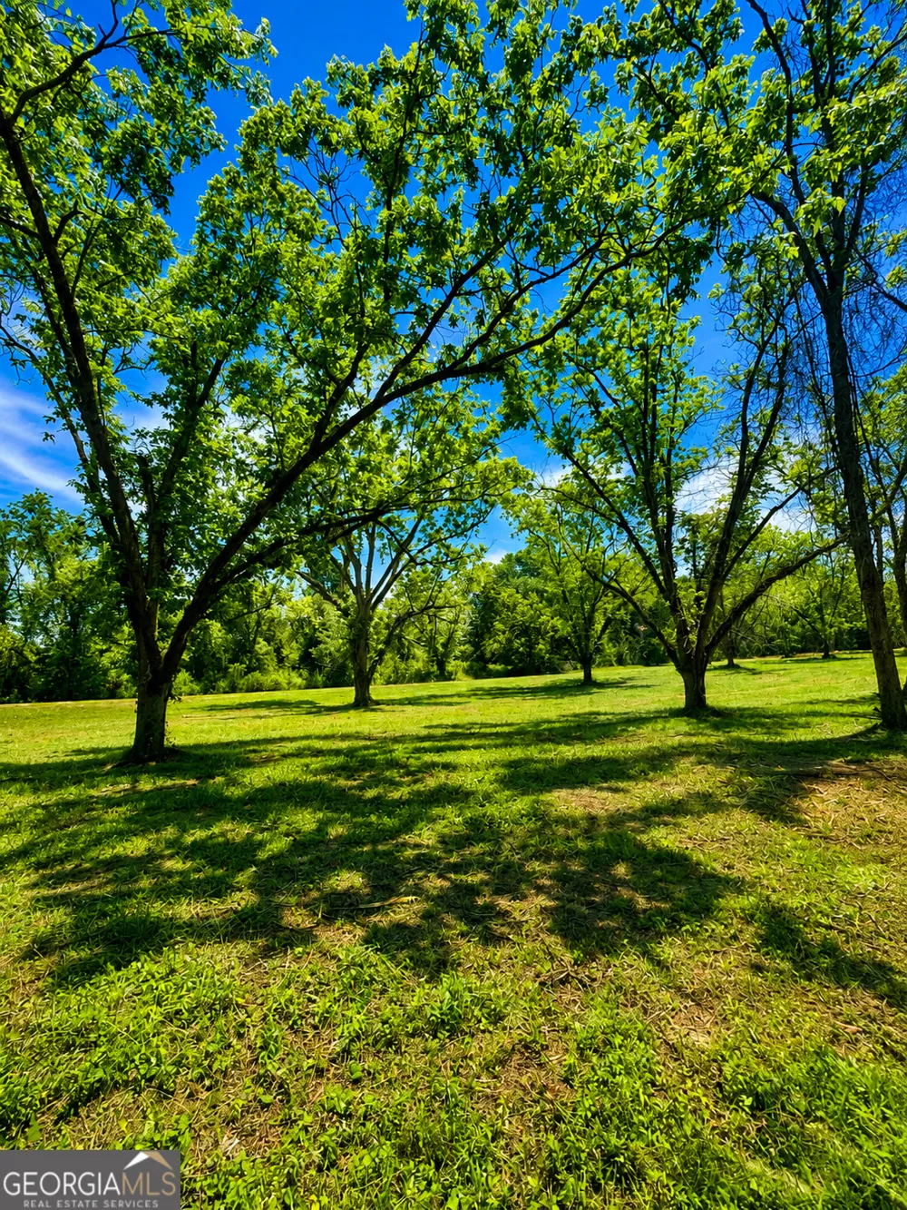 0 Salem RD Pine Mountain, GA 31822
