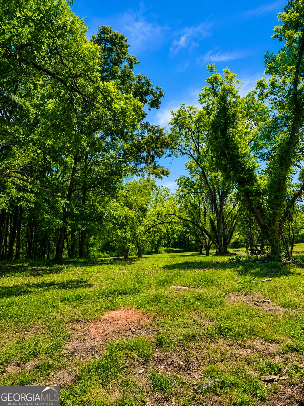 0 Salem RD Pine Mountain, GA 31822