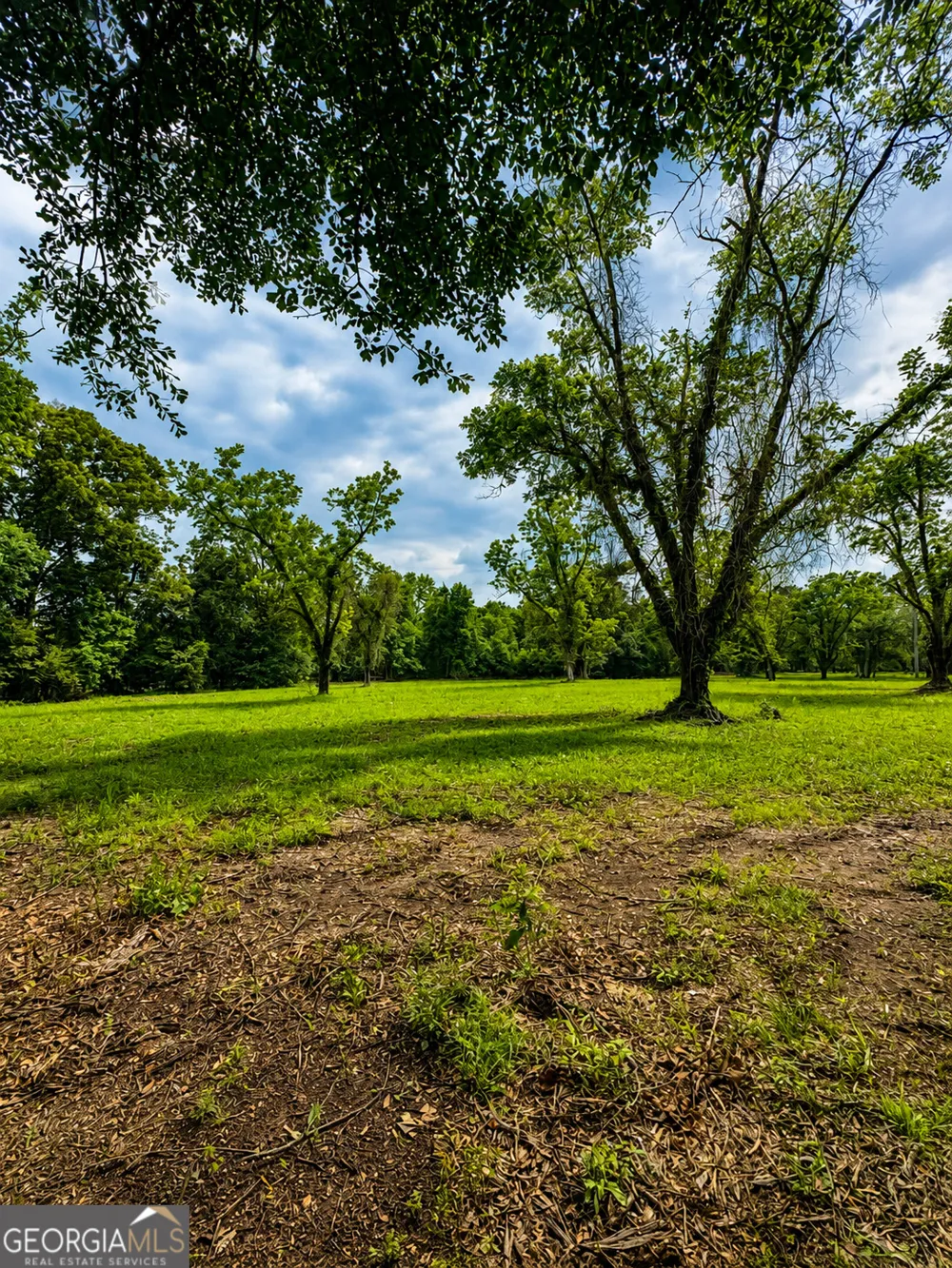 0 Salem RD Pine Mountain, GA 31822