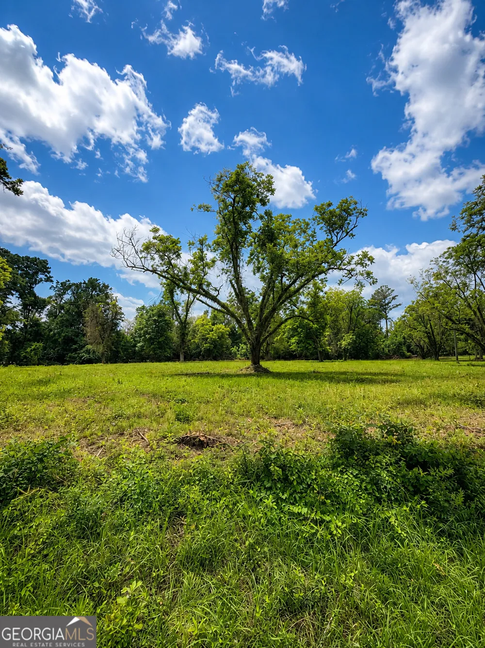 0 Salem RD Pine Mountain, GA 31822
