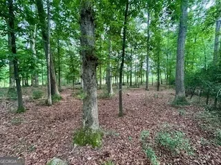 0 Bethany RD Madison, GA 30650