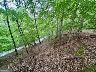 0 Bethany RD Madison, GA 30650