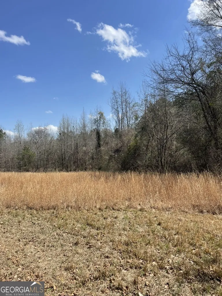 0 Minor Thomaston, GA 30286