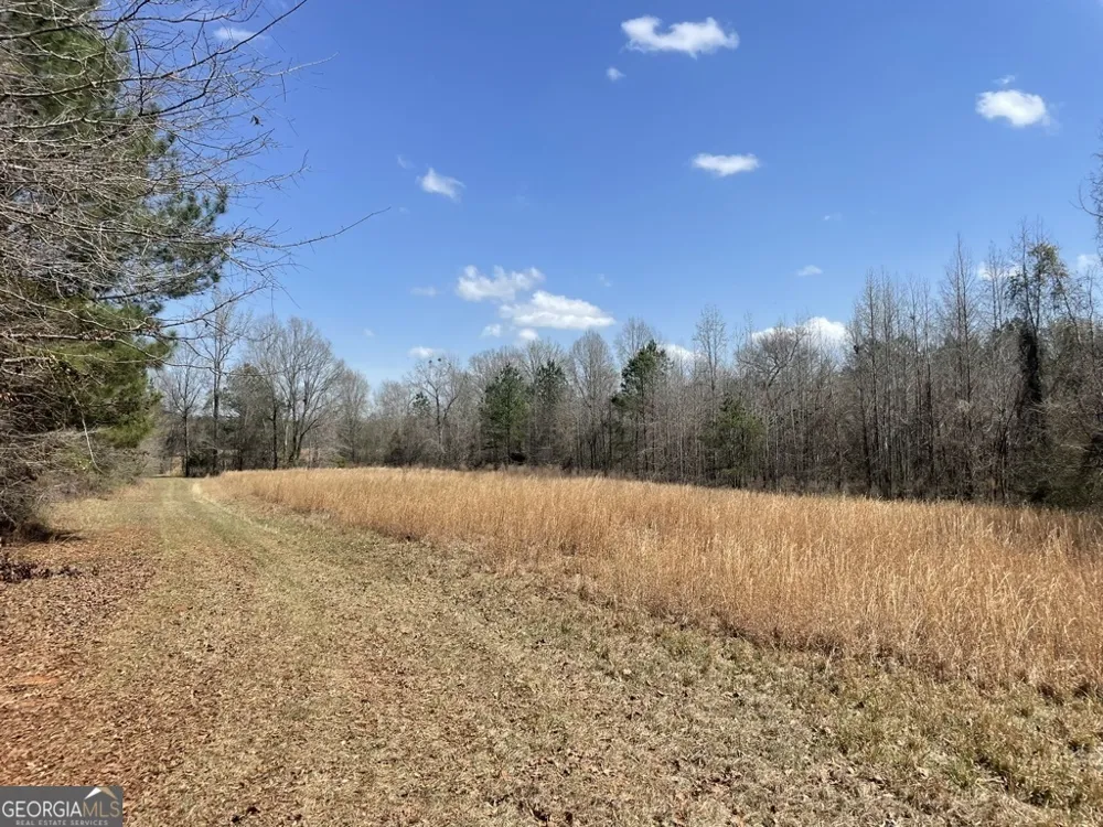 0 Minor Thomaston, GA 30286