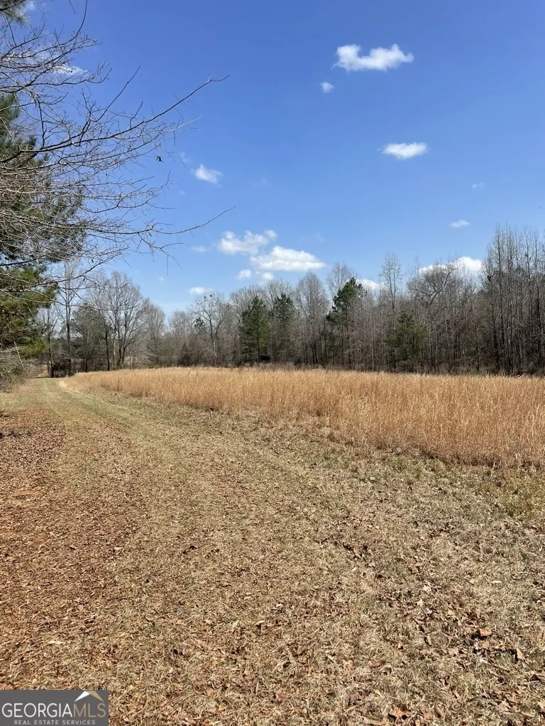 0 Minor Thomaston, GA 30286