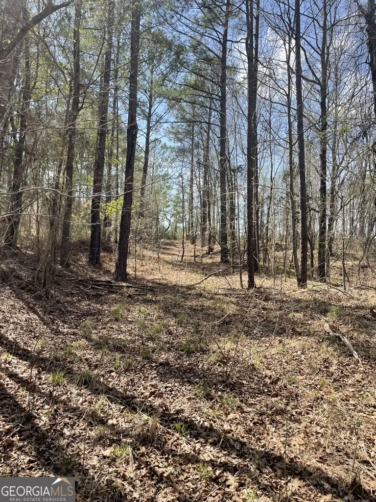 0 Minor Thomaston, GA 30286