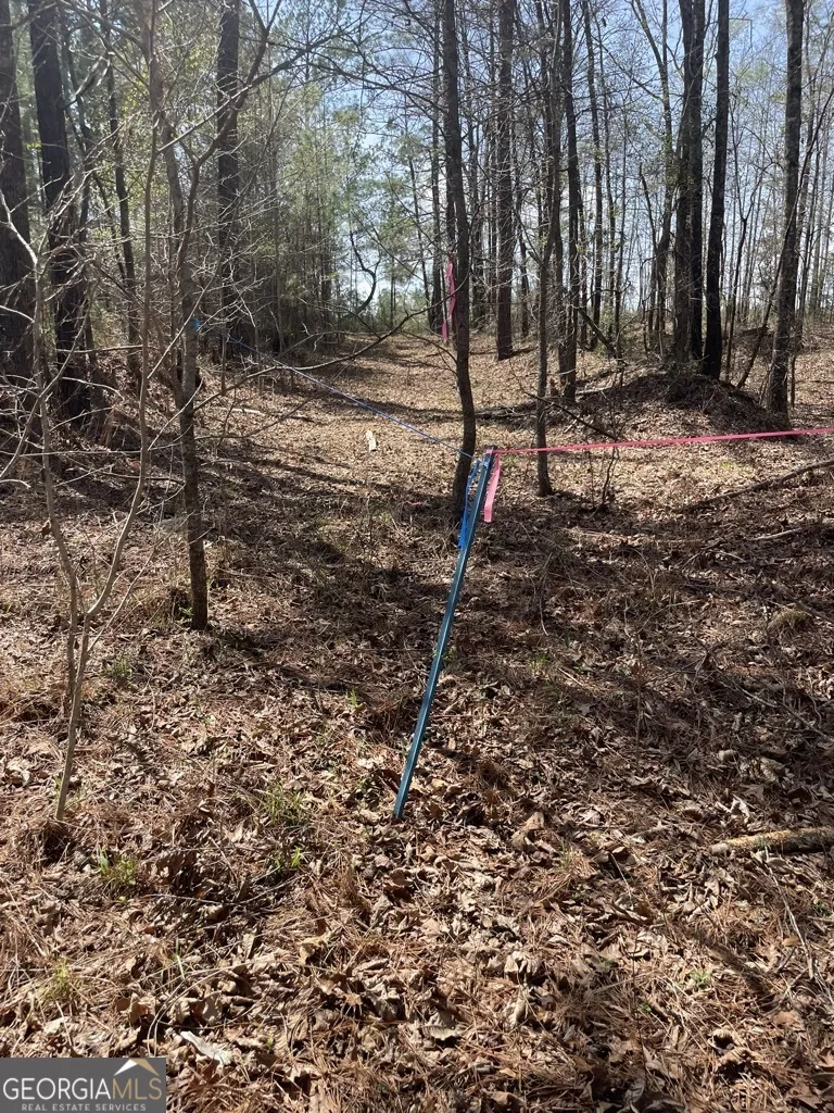 0 Minor Thomaston, GA 30286