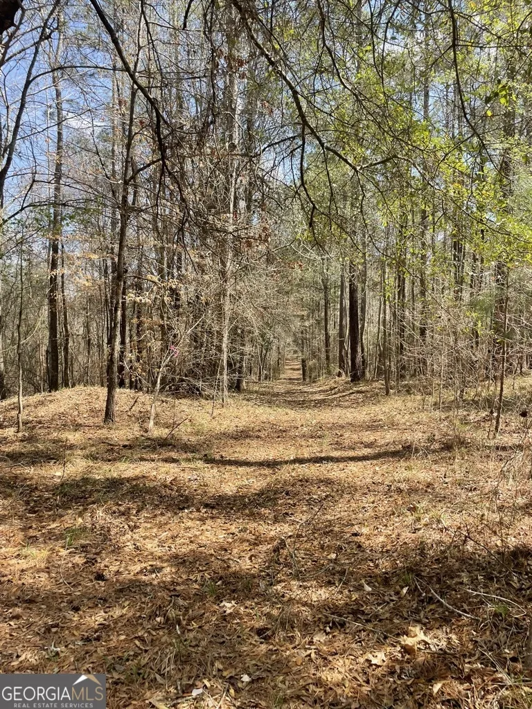 0 Minor Thomaston, GA 30286