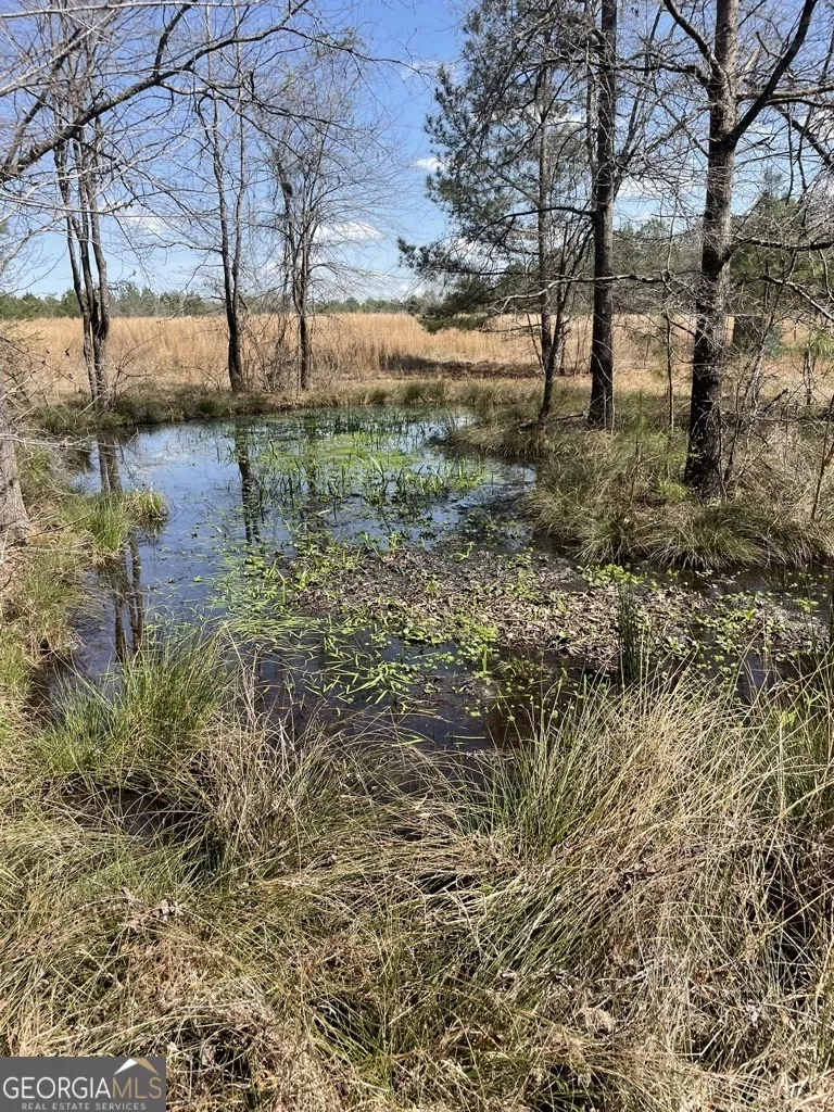 0 Minor Thomaston, GA 30286