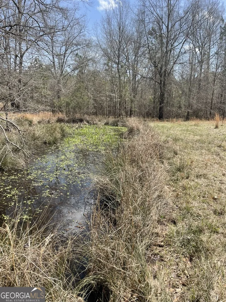 0 Minor Thomaston, GA 30286