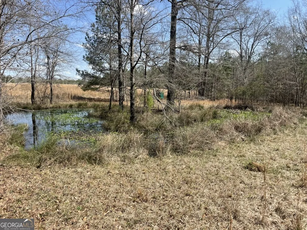 0 Minor Thomaston, GA 30286