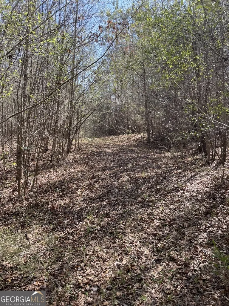0 Minor Thomaston, GA 30286