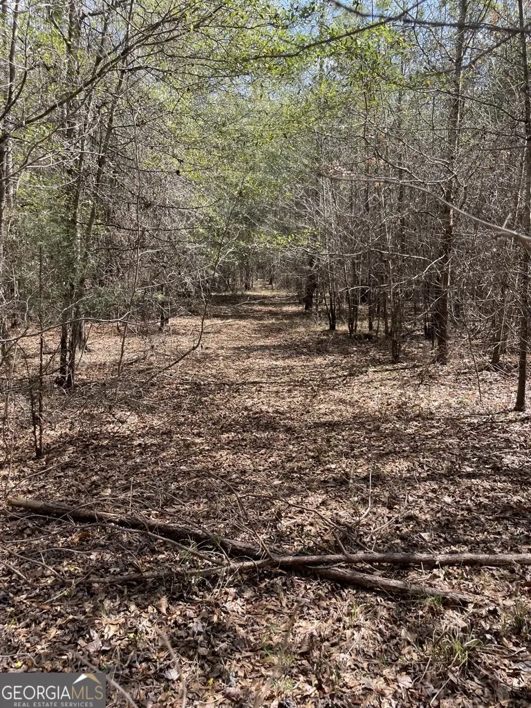 0 Minor Thomaston, GA 30286