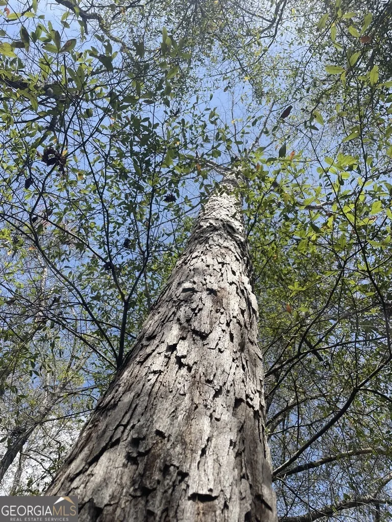 0 Minor Thomaston, GA 30286