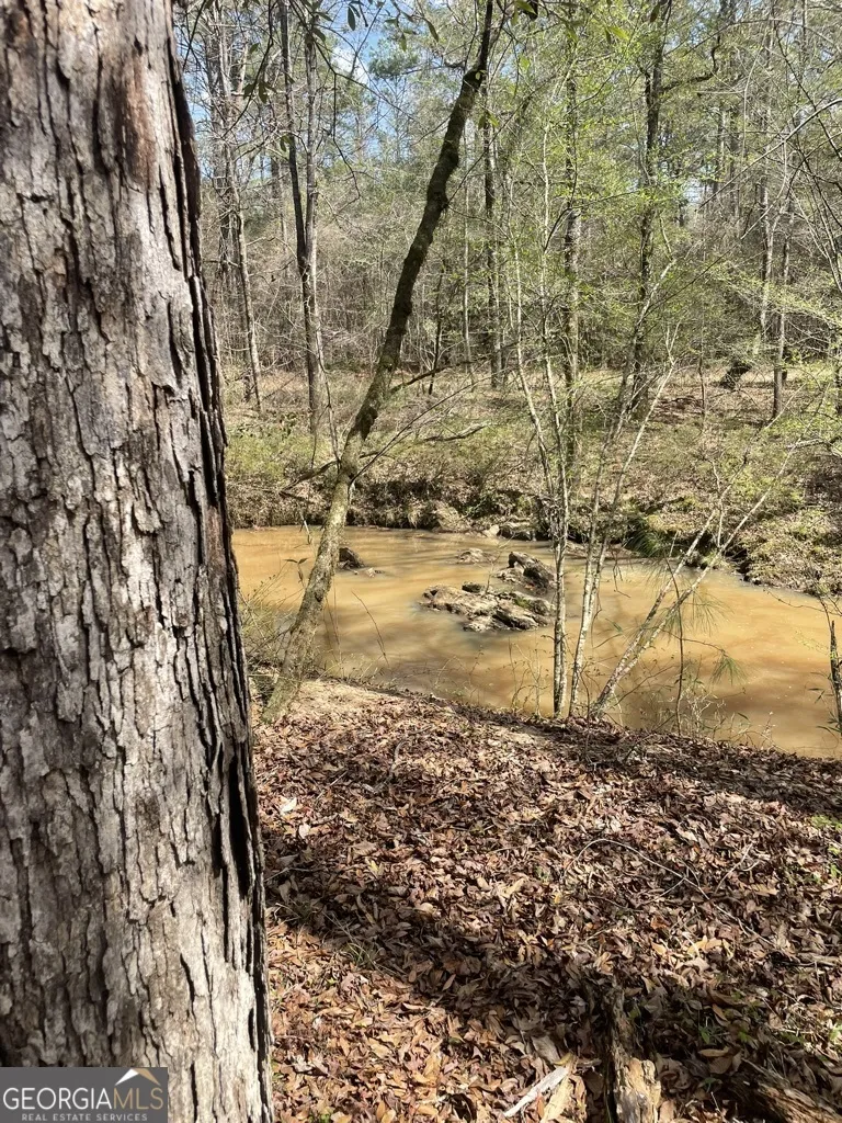 0 Minor Thomaston, GA 30286